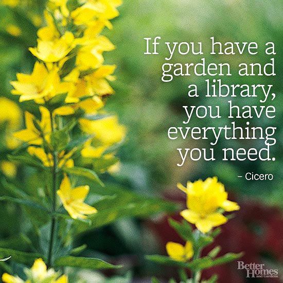 library garden quote.jpg
