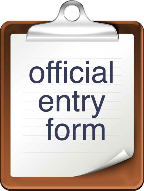 V&V entry form 2017.png
